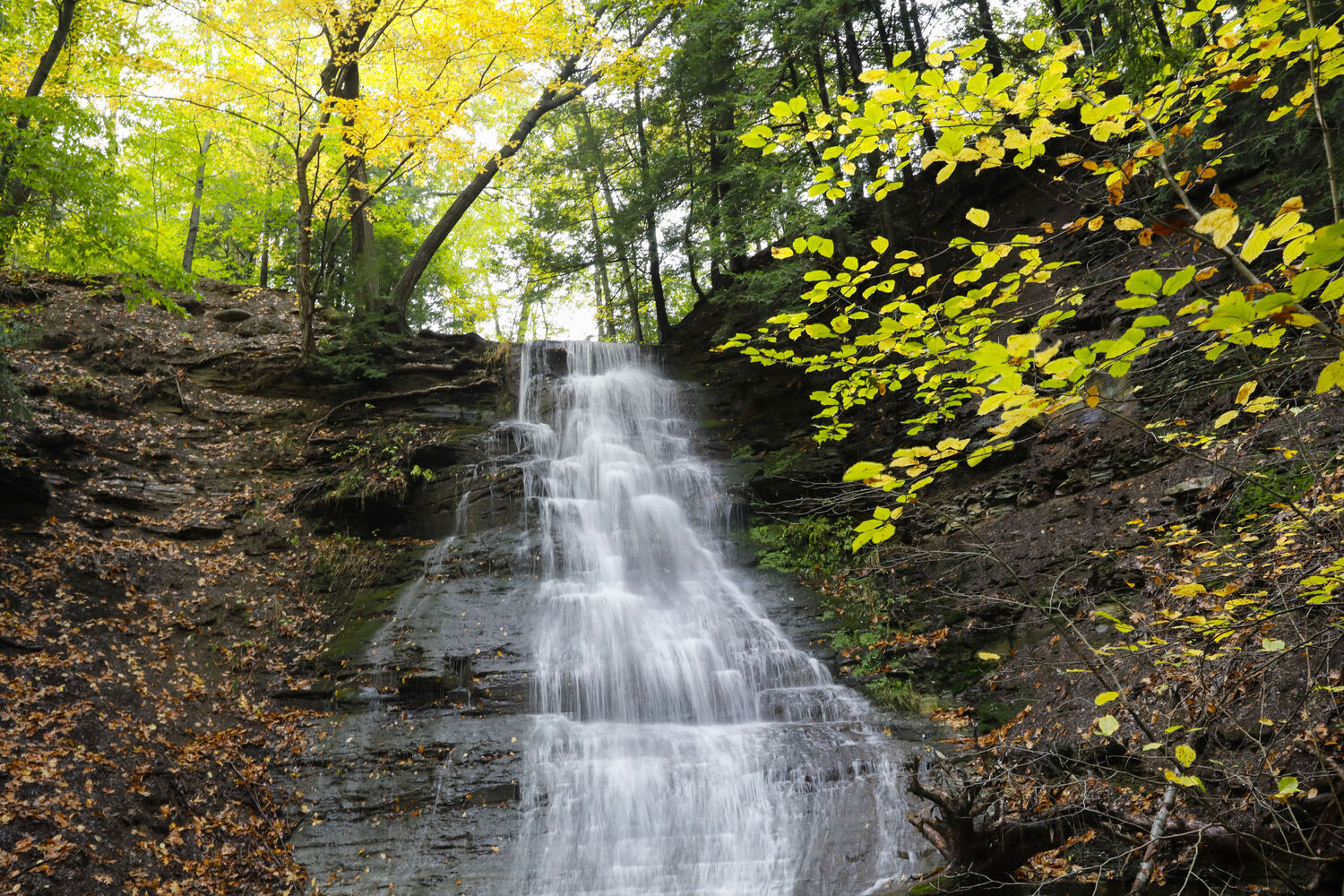 Knox Farm waterfall
